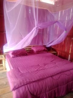 The Two Tigers - Sok San Village - 8