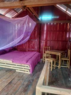 The Two Tigers - Sok San Village - 5