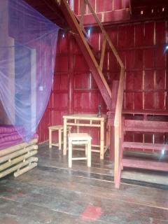 The Two Tigers - Sok San Village - 1