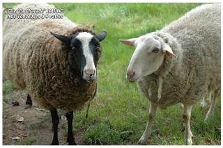 Gite La Chavade JAUJAC - 8