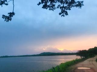 Habarana Tree House - Ivory cottage - 4