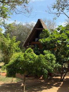 Habarana Tree House - Ivory cottage - 5