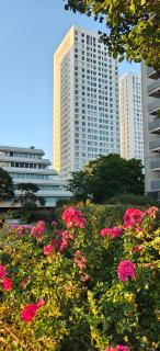 Paris en hauteur - 9