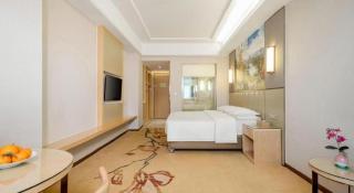 Vienna Hotel Guangxi Fusui - 9