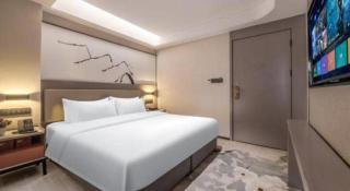 GreenTree Eastern Chongqing Yangjiaping Pedestrian Street Mixc Hotel - 8