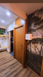 Appartement Belsol Ambiance tropicale et détente - 1