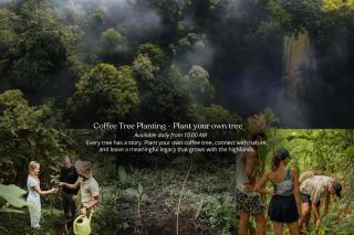 Munduk Moding Plantation Nature Resort - 1