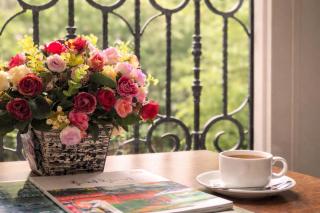 Golden Queen Aparthotel - 9