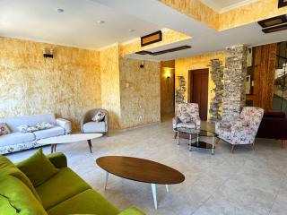 Travel Inn Bakuriani - 7