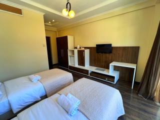 Travel Inn Bakuriani - 1