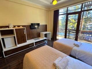 Travel Inn Bakuriani - 3