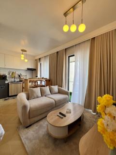 Executive Studio Artesano - 0