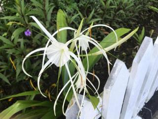 Lai Ming Hotel Cosmoland - Singapour - 8