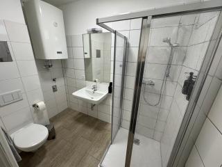 Helles Garten-Apartment in Graz - 7