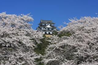 Dantokan Kikunoya - Otsu - 6