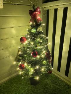 Muffins Meadow Shepherds Hut - 9