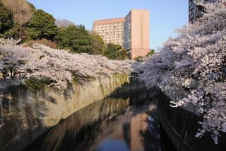 東京の中心地の新宿区で便利/2駅から徒歩6分/6名収容/無制限高速WIFI - 6