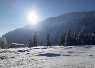 Ferienwohnungen Apart Diana - 4