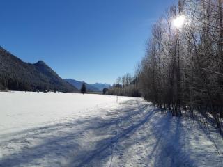 Ferienwohnungen Apart Diana - 7