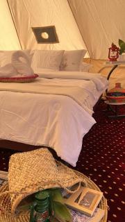 Quiet Nights Camp - 8