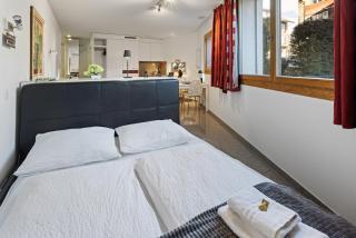 Bergblick Studio I Flims I Laax I Ski I Caumasee - Flims - 7