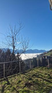 Modern Mountain View - 7