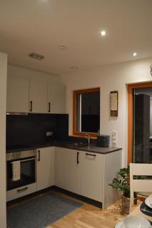 Modern Mountain View - 3