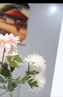 Hilltop apartment Ikeja - 6