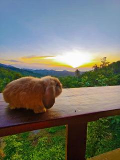 SZ Samui Glamping - 4