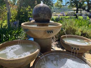 In the Vine Country Manor Guesthouse - Stellenbosch - 5