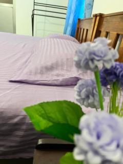 New WELELIYA Family Resort Embilipitiya - 4