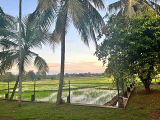 New WELELIYA Family Resort Embilipitiya - 1