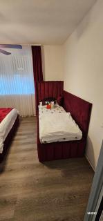 Apartmani MURIC Ljubljana - 4