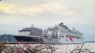 Homestay cao cấp - 0