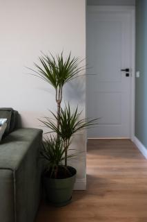 Central Apartment Old Town 1 BR Metro - 3