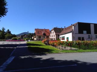 Gites & Camping on the Route des Vins - Bergheim - 9