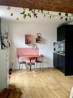 Cozy studio-city center - 5