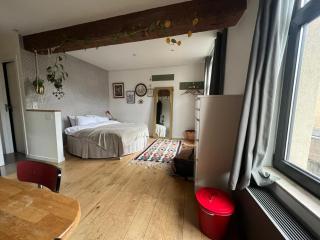 Cozy studio-city center - 4