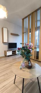 VB Residence Vitosha View Apartment - 1