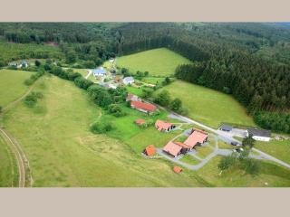 Cosy holiday home in the Hochsauerland with terrace at the edge of the forest - Schmallenberg - 9