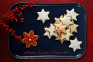 ABT Apartments Karoly - 6