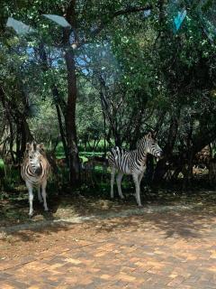 Harties Safari View - 5