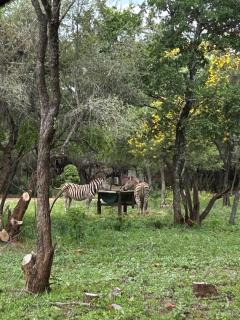 Harties Safari View - 3