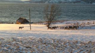 Charles Country House - 4