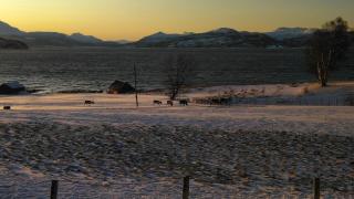 Charles Country House - 5