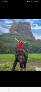 Meera House & Tourist Inn - 0