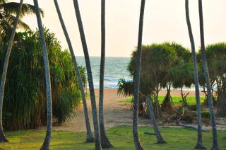 Ocean View - Bentota - 0