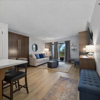 Sweet Ski-In Ski-Out Snowflower Studio condo - 5