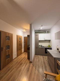 Charming apartment close to Tauron Arena - 9