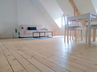 Grand studio très lumineux au coeur de Solidor - 0